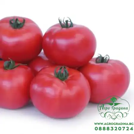 Домати Такадо F1