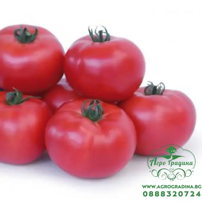 Домати Такадо F1