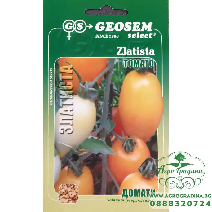 Домати Златиста Домати Златиста