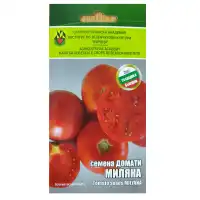 Домати Миляна ИЗК Марица