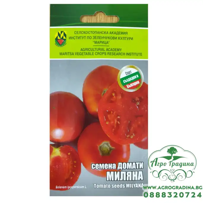Домати Миляна ИЗК Марица