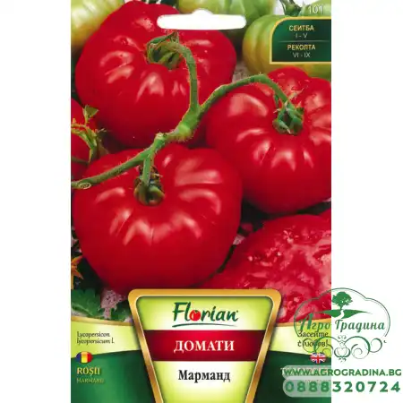 Домат Марманд