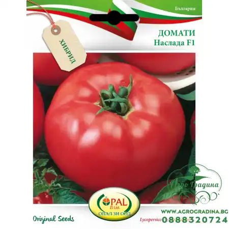 Домати Наслада F1