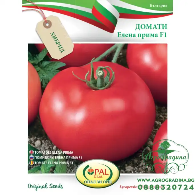 Домати Елена прима F1 Домати Елена прима F1