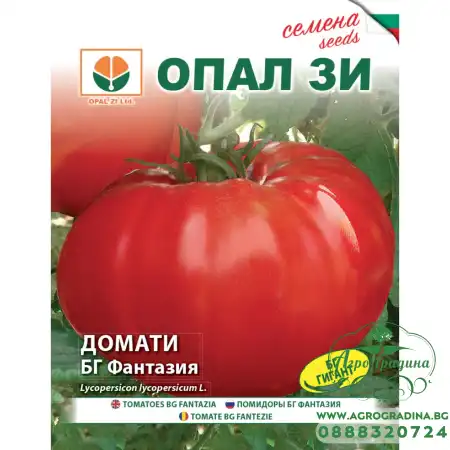 Домати БГ Фантазия
