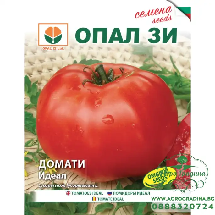 Домат Идеал