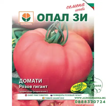 Домат Розов гигант