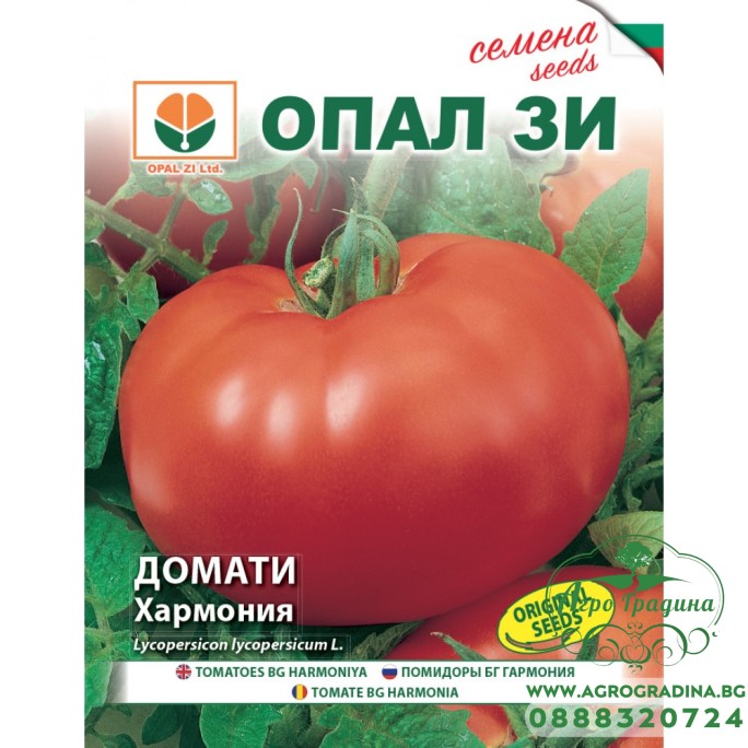 Домат Хармония Домат Хармония