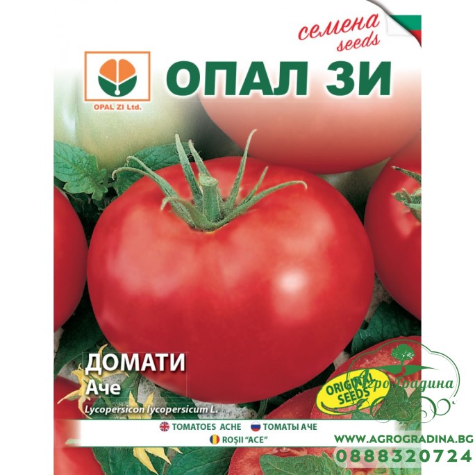 Домати Аче Домати Аче