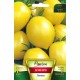 Домати Цитрина (лимонови)