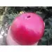Домати Розов Блян