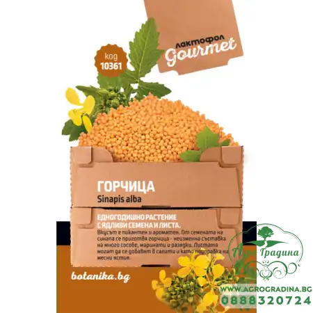 Горчица Sinapis alba
