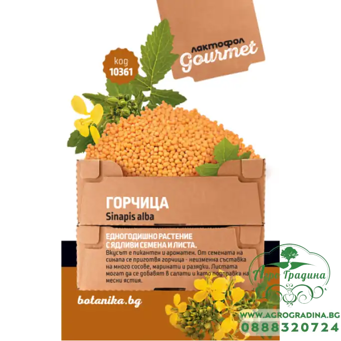 Горчица Sinapis alba