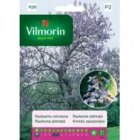 Пауловния Томентоса Императорско дърво