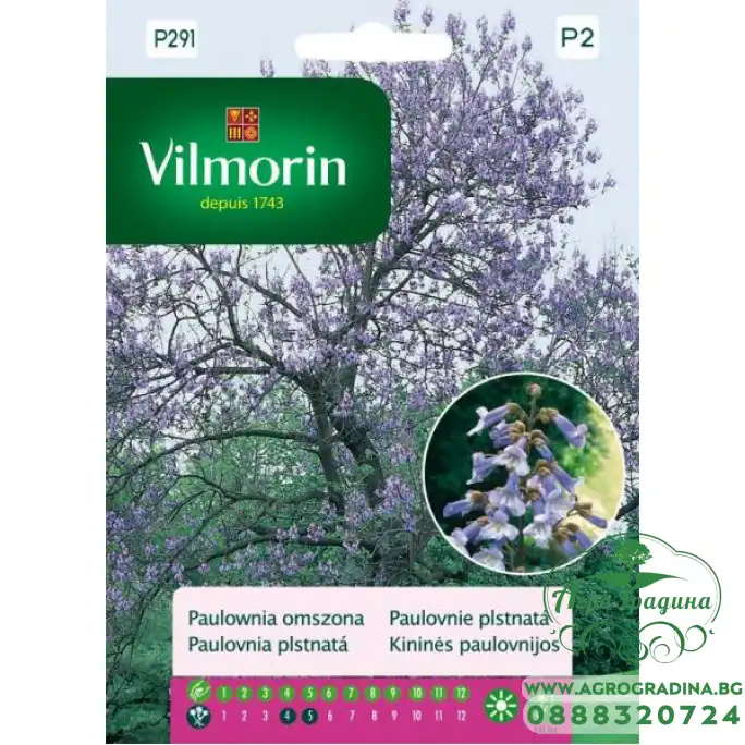 Пауловния Томентоса Императорско дърво