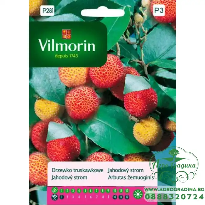 Семена за Ягодово дърво