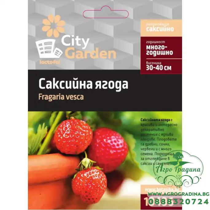 Семена саксийна многогодишна ягода