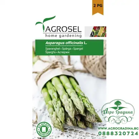 Семена за Аспержи