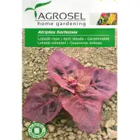 Градинска Лобода