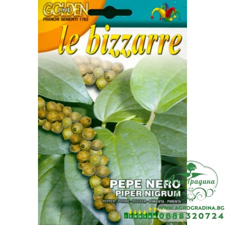 Семена за Черен пипер