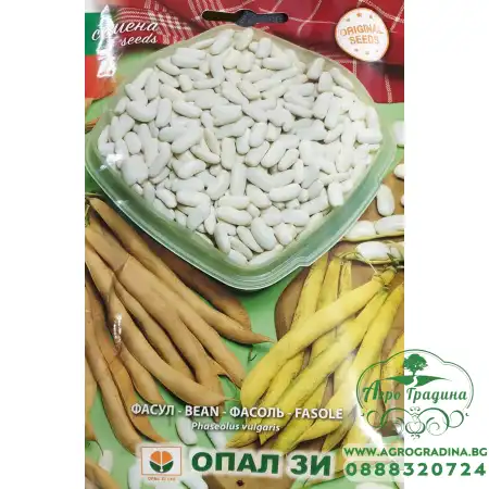 Фасул за зрял сорт Канелино