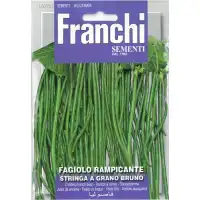 Фасул увивен тънък Аспержов боб С КАФЯВО ЗЪРНО