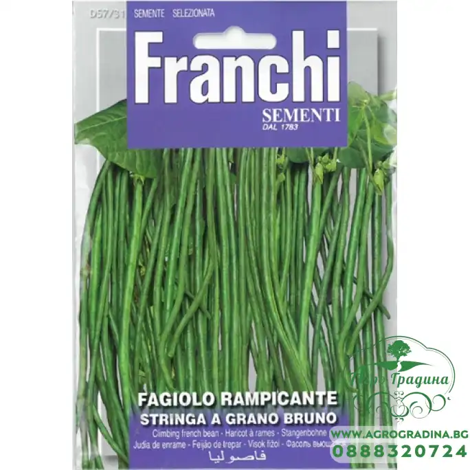 Фасул увивен тънък Аспержов боб С КАФЯВО ЗЪРНО