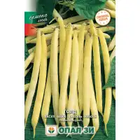 Фасул Голд - жълт, кръгъл, нисък