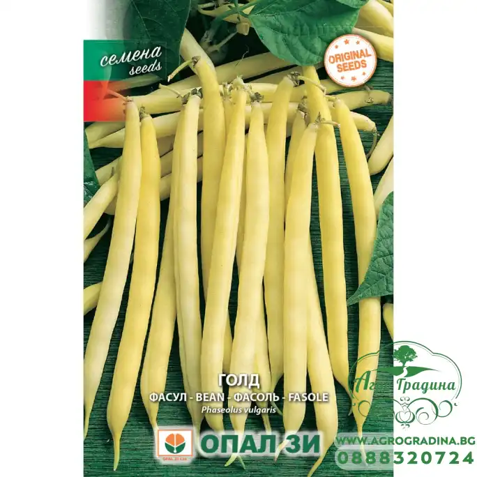 Фасул Голд - жълт, кръгъл, нисък