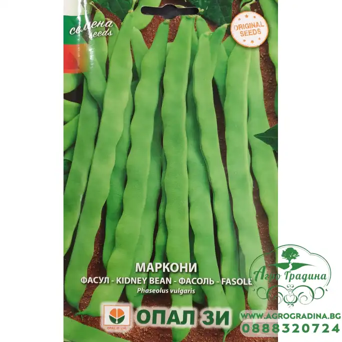 Фасул Маркони (зелен, плосък, увивен)