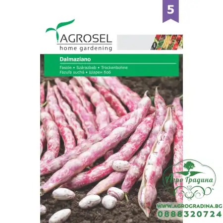 Фасул за зрял - Шарен Боб Далмациано Dalmaziano