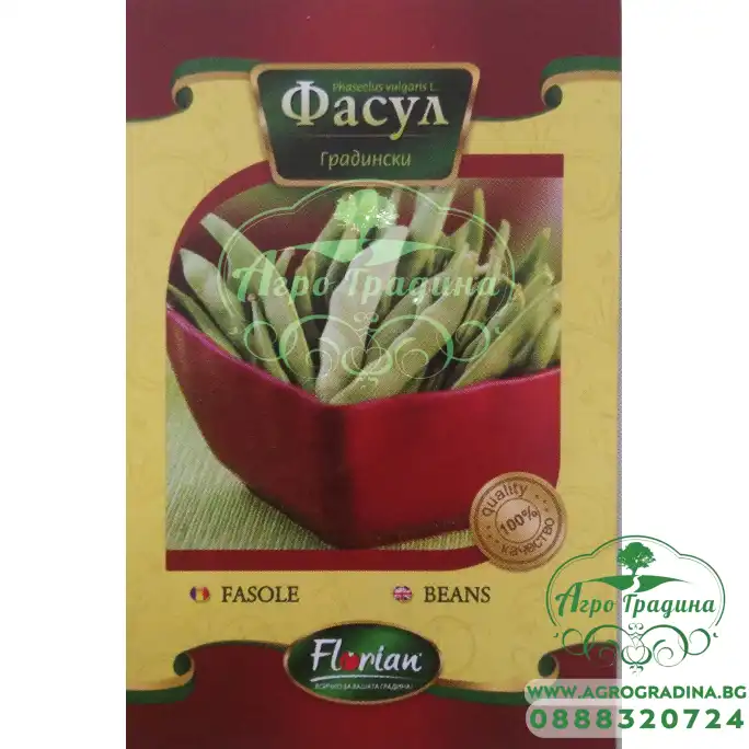 Фасул Джина - зелен, плосък, нисък