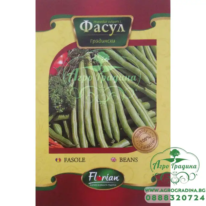 Фасул сорт Меси (зелен, цилиндричен, нисък)