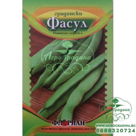 Фасул Маркони (зелен, плосък, увивен)