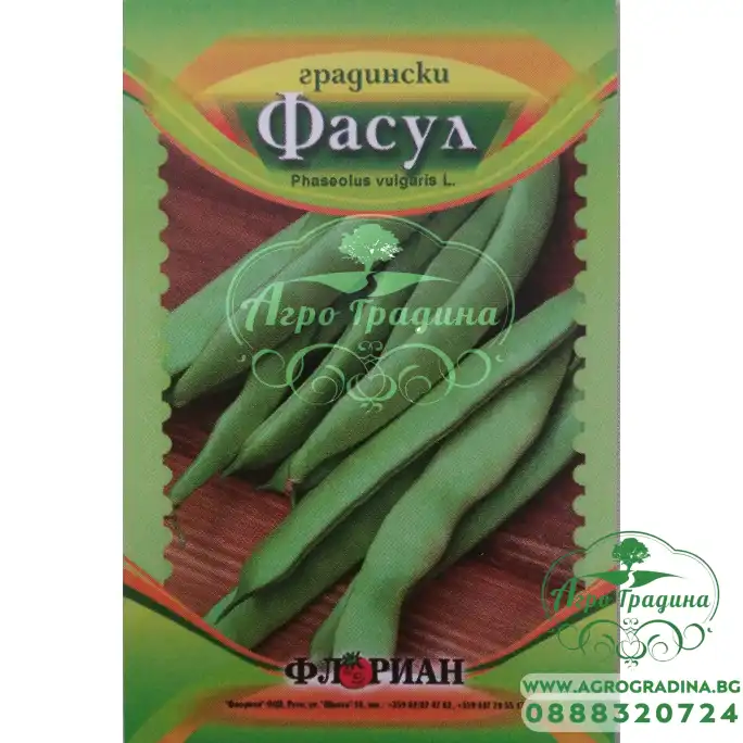 Фасул Маркони (зелен, плосък, увивен)