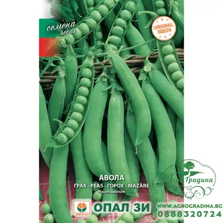 Грах Авола