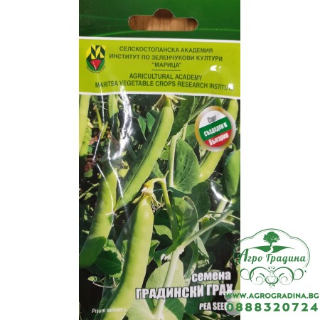 Грах градински Марси ИЗК Марица