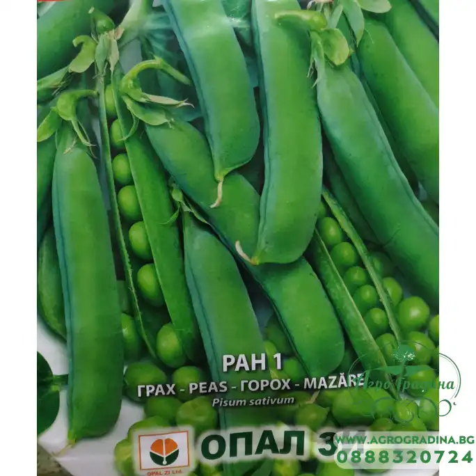 Грах Ран 1 Грах Ран 1