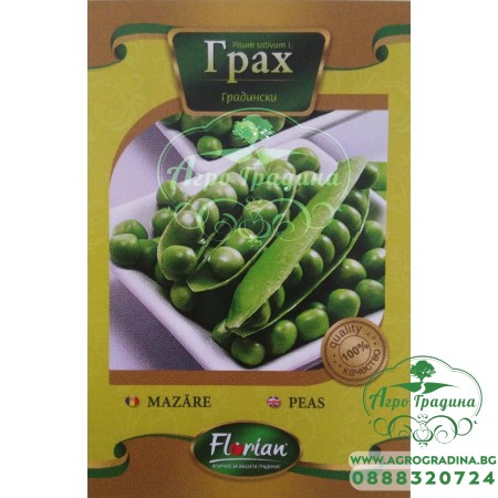 Грах Глориоса