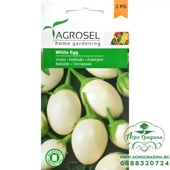Патладжан бял (white egg)