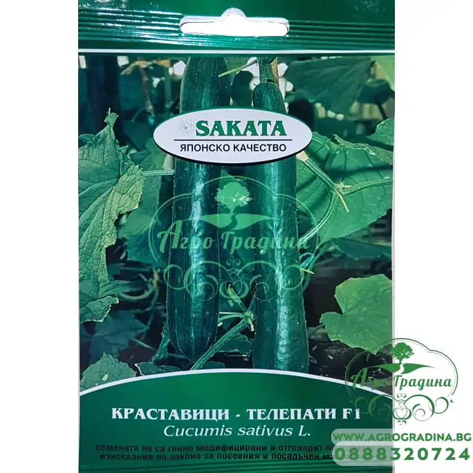 Краставици Телепати F1 Краставици Телепати F1