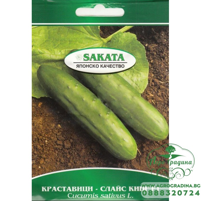 Краставици Слайс Кинг F1