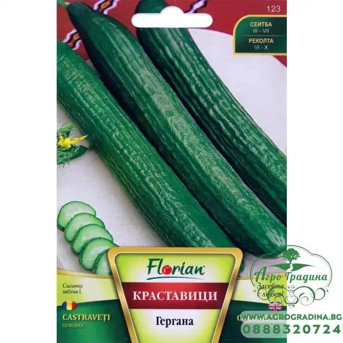 Краставици Гергана