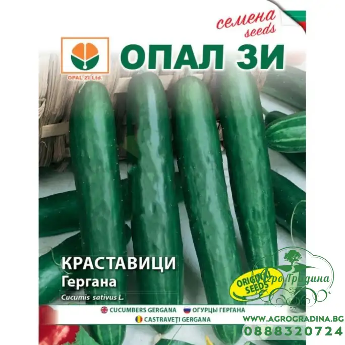 Краставици Гергана