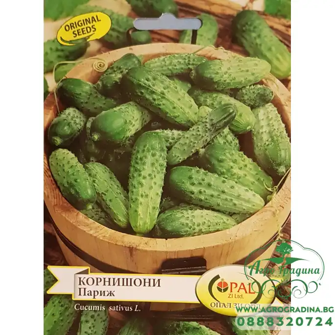 Корнишони Париж Cucumis sativus Корнишони Париж Cucumis sativus