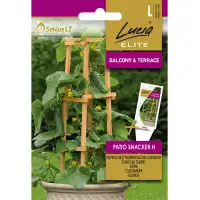 Саксийни Корнишони F1 Patio Snacker H