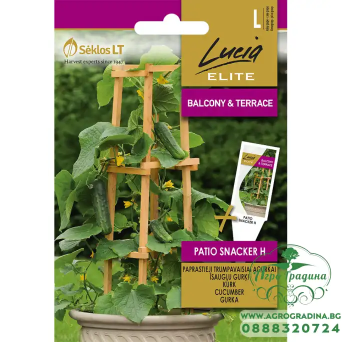 Саксийни Корнишони F1 / Patio Snacker H