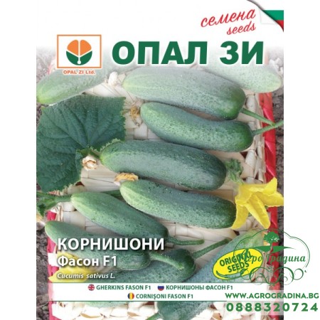 Корнишони Фасон F1