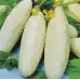 Краставица Бяло чудо White wonder