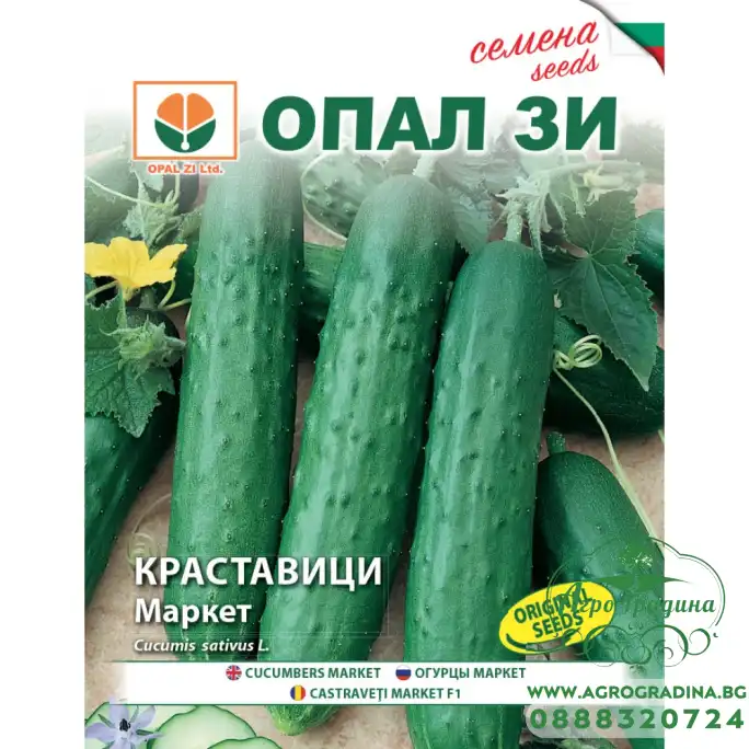 Краставици Маркет